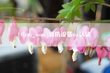 福鼎消防设备ccc认证