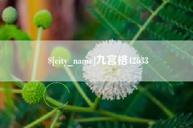 福鼎九宫格42633