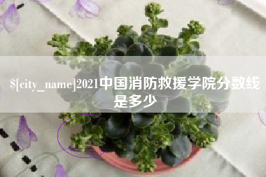 福鼎2021中国消防救援学院分数线是多少