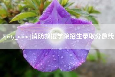 福鼎消防救援学院招生录取分数线