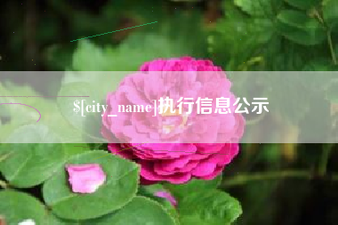 福鼎执行信息公示 福鼎执行信息公示