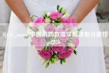 福鼎中国消防救援学院录取分数线2020