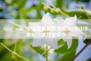 福鼎中国消防救援学院2021年山东录取分数线是多少
