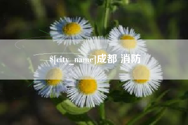 福鼎成都 消防