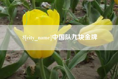 福鼎中国队九块金牌