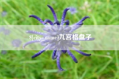 福鼎九宫格盘子