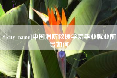 福鼎中国消防救援学院毕业就业前景如何