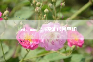 福鼎消控证官网查询