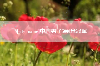 福鼎中国男子5000米冠军
