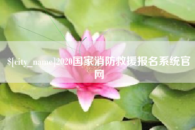 福鼎2020国家消防救援报名系统官网