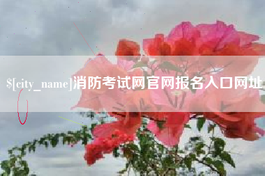 福鼎消防考试网官网报名入口网址