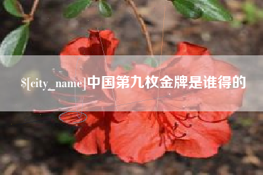 福鼎中国第九枚金牌是谁得的
