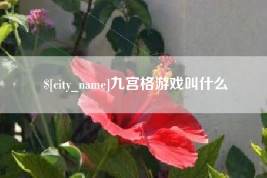 福鼎九宫格游戏叫什么
