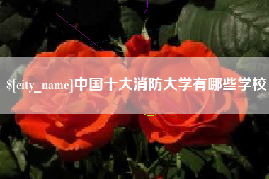 福鼎中国十大消防大学有哪些学校