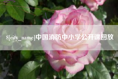福鼎中国消防中小学公开课回放