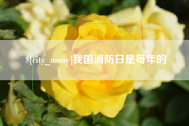 福鼎我国消防日是每年的