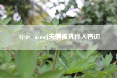 福鼎失信被执行人杳询