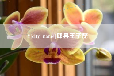 福鼎邱县王子磊