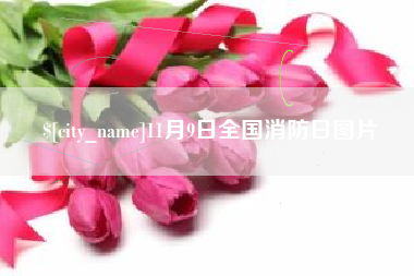 福鼎11月9日全国消防日图片