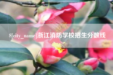 福鼎浙江消防学校招生分数线