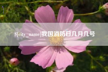 福鼎我国消防日几月几号