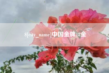 福鼎中国金牌18金