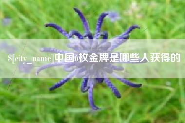 福鼎中国6枚金牌是哪些人获得的
