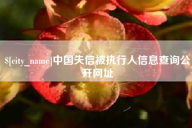 福鼎中国失信被执行人信息查询公开网址