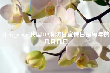 福鼎我国119消防日宣传日是每年的几月几日