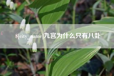 福鼎九宫为什么只有八卦