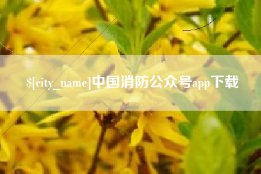 福鼎中国消防公众号app下载
