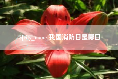 福鼎我国消防日是哪日
