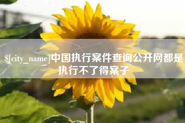 福鼎中国执行案件查询公开网都是执行不了得案子