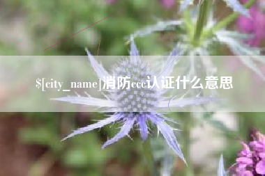 福鼎消防ccc认证什么意思