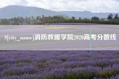 福鼎消防救援学院2020高考分数线