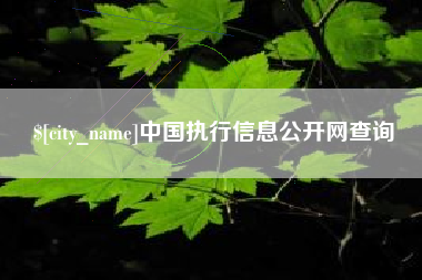 福鼎中国执行信息公开网查询