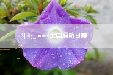 福鼎全国消防日哪一