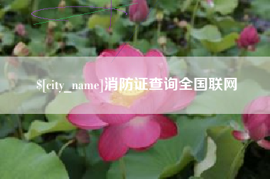 福鼎消防证查询全国联网