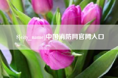 福鼎中国消防网官网入口