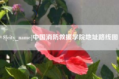 福鼎中国消防救援学院地址路线图