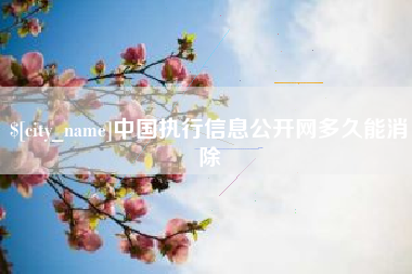 福鼎中国执行信息公开网多久能消除