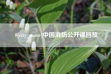 福鼎中国消防公开课回放