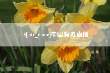 福鼎中国消防,直播
