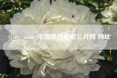 福鼎中国执行信息公开网 网址