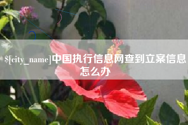 福鼎中国执行信息网查到立案信息怎么办