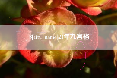 福鼎21年九宫格