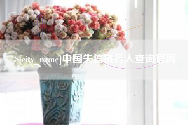 福鼎中国失信执行人查询官网