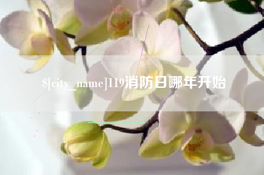 福鼎119消防日哪年开始