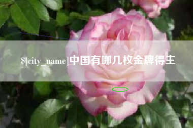 福鼎中国有哪几枚金牌得主