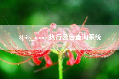 福鼎执行公告查询系统